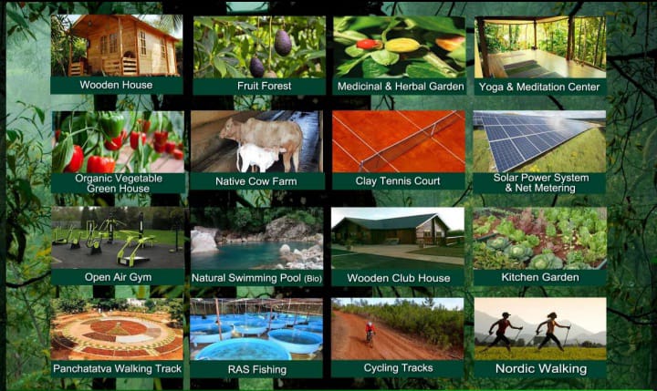 layout amenties Image